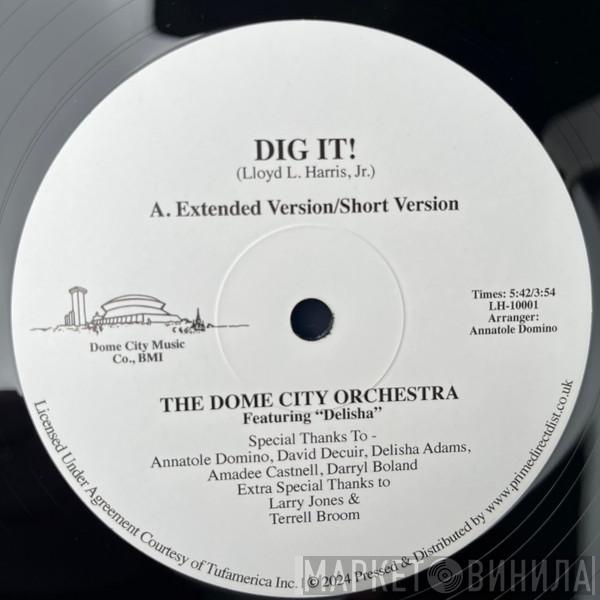 The Dome City Rock Orchestra Delisha Adams   - Dig It!