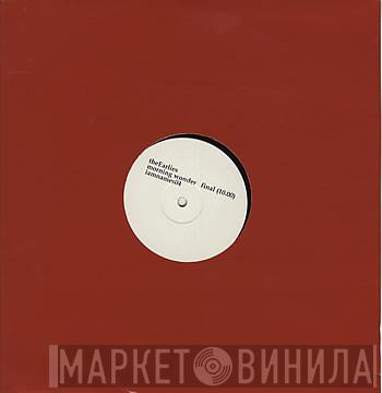 The Earlies - Morning Wonder