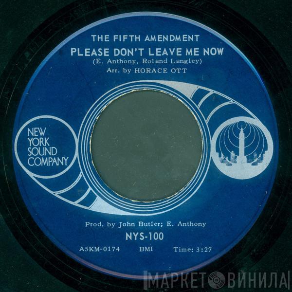 The Fifth Amendment - Please Don't Leave Me Now / I Got You Where I Want You