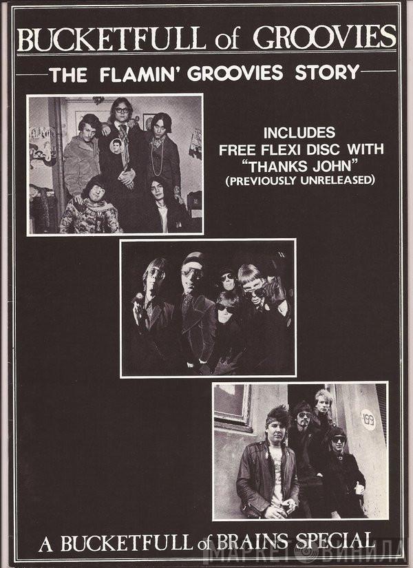 The Flamin' Groovies - Thanks John