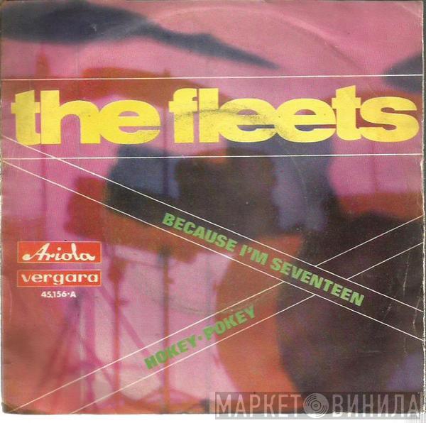 The Fleets - Because I'm Seventeen