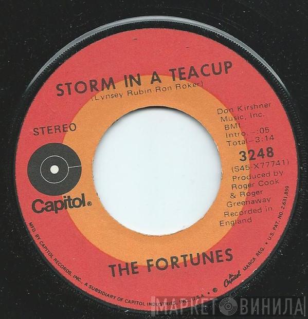  The Fortunes  - Storm In A Teacup / I'm Not Following You