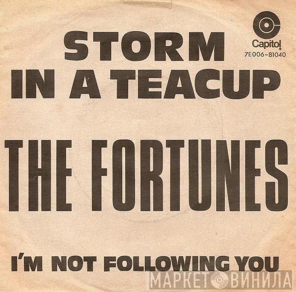  The Fortunes  - Storm In A Teacup