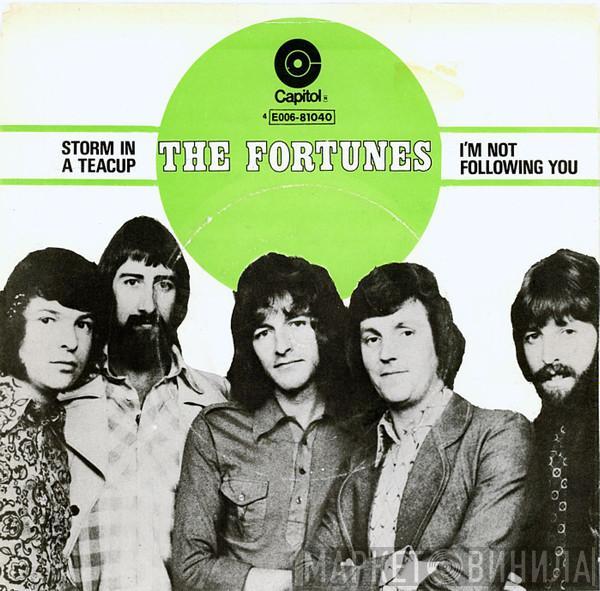  The Fortunes  - Storm In A Teacup