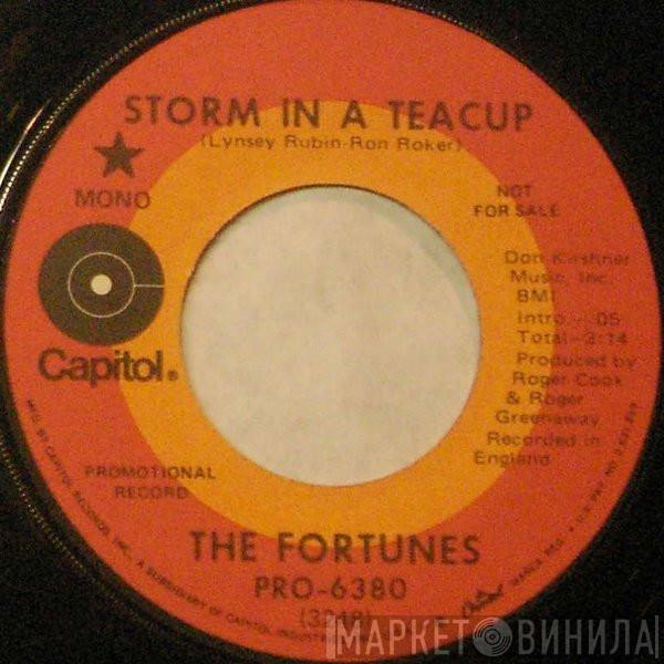  The Fortunes  - Storm In A Teacup