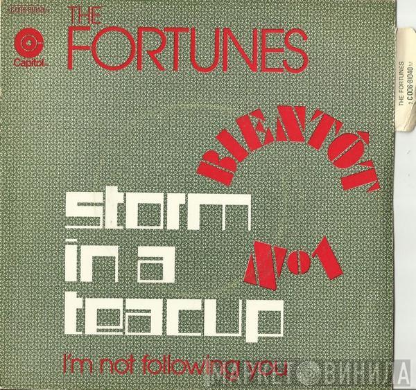  The Fortunes  - Storm In A Teacup
