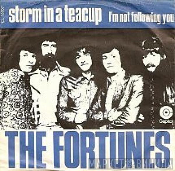  The Fortunes  - Storm In A Teacup