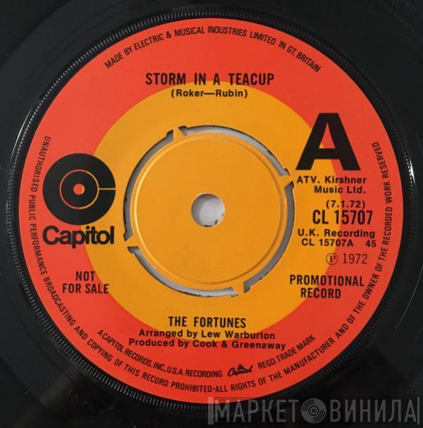  The Fortunes  - Storm In A Teacup