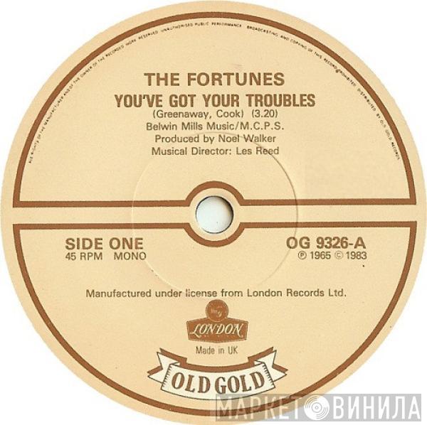 The Fortunes - You've Got Your Troubles