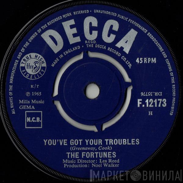  The Fortunes  - You've Got Your Troubles