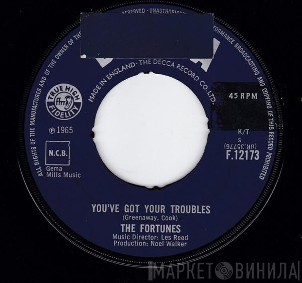  The Fortunes  - You've Got Your Troubles