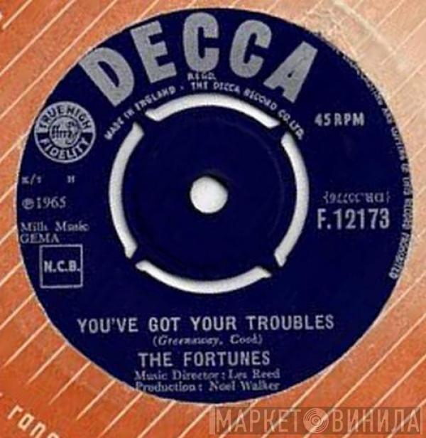 The Fortunes - You've Got Your Troubles