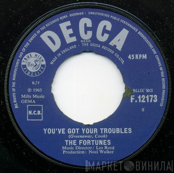  The Fortunes  - You've Got Your Troubles