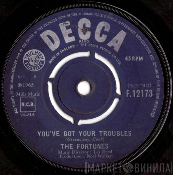  The Fortunes  - You've Got Your Troubles