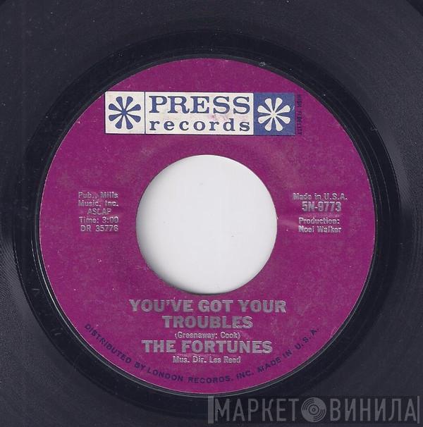 The Fortunes - You've Got Your Troubles