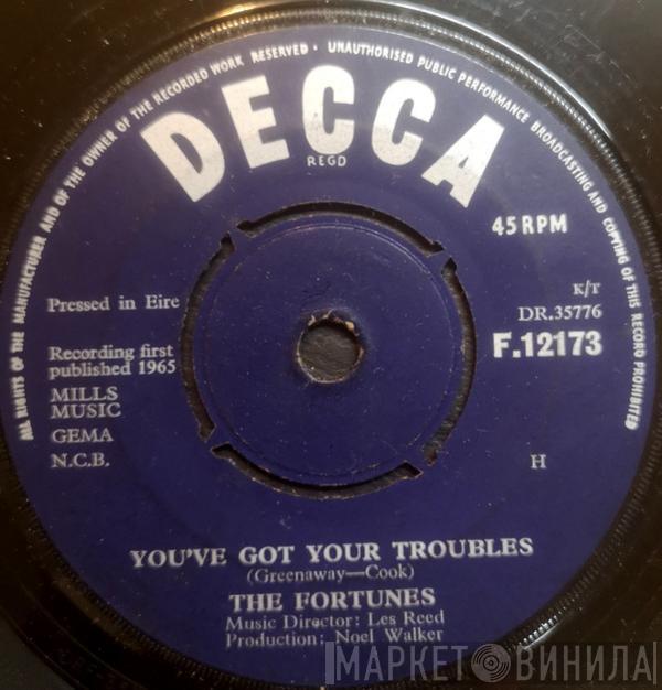  The Fortunes  - You've Got Your Troubles