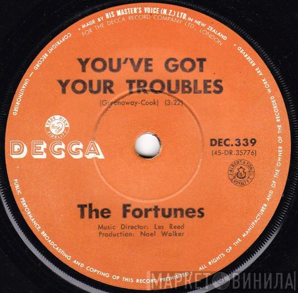  The Fortunes  - You've Got Your Troubles