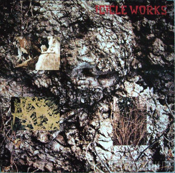  The Icicle Works  - Icicle Works