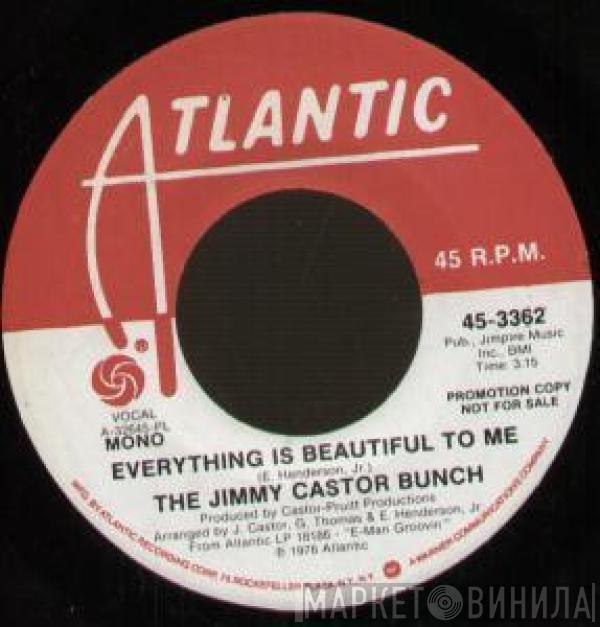 The Jimmy Castor Bunch - Everything Is Beautiful To Me