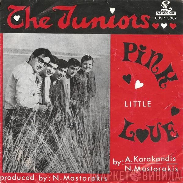 The Juniors  - Pink Little Love / Lost Friend