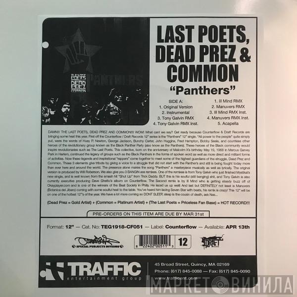 , The Last Poets And dead prez  Common  - Panthers