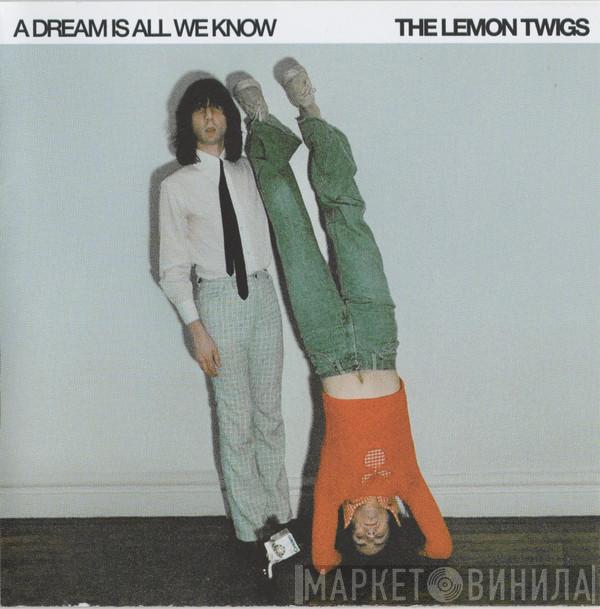 The Lemon Twigs - A Dream Is All We Know