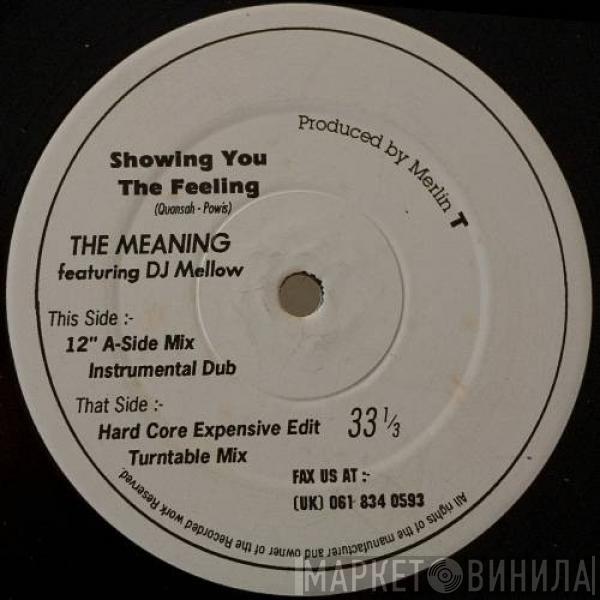 The Meaning - Showing You The Feeling