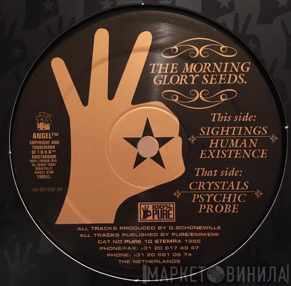 The Morning Glory Seeds - Sightings