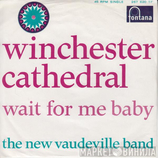  The New Vaudeville Band  - Winchester Cathedral