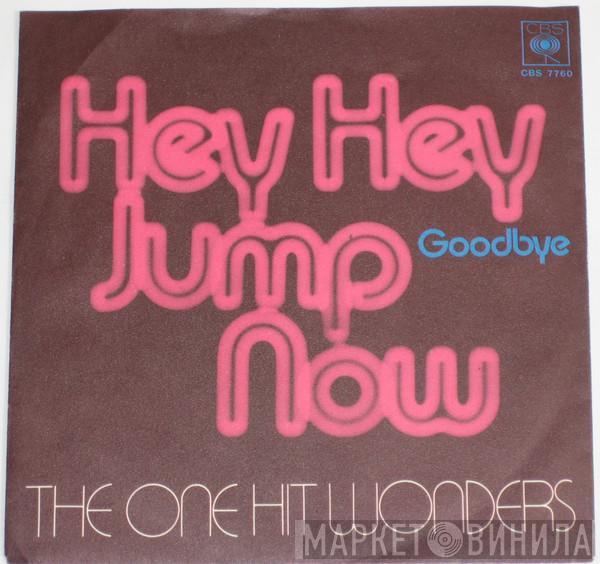 The One Hit Wonders - Hey Hey Jump Now