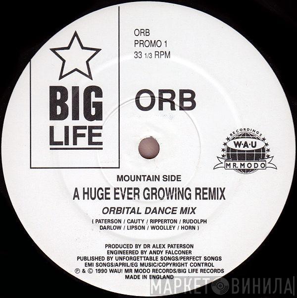 The Orb - A Huge Ever Growing Remix