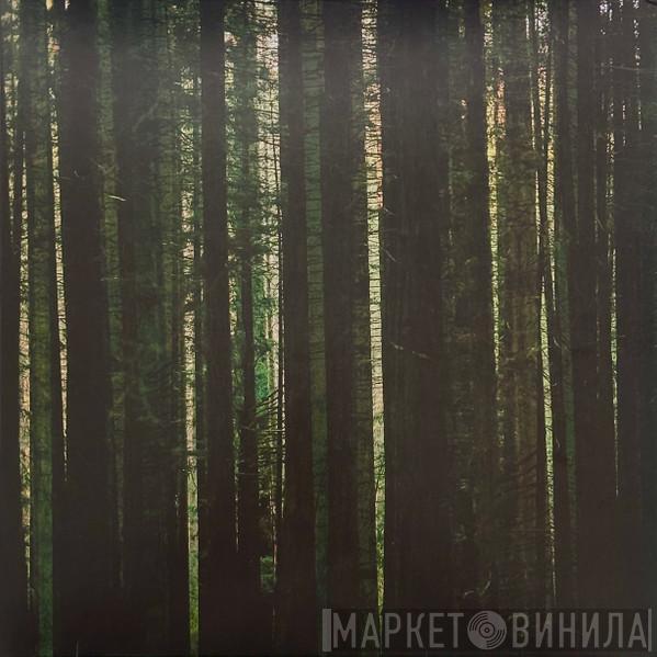 The Paper Kites - Evergreen