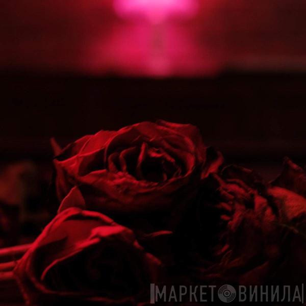  The Paper Kites  - Roses