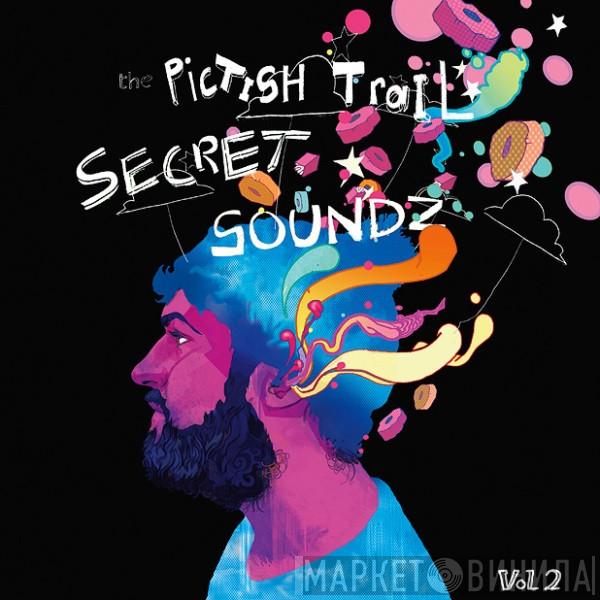 The Pictish Trail - Secret Soundz Vol. 2