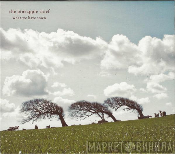  The Pineapple Thief  - What We Have Sown