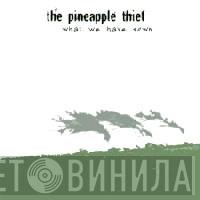  The Pineapple Thief  - What We Have Sown