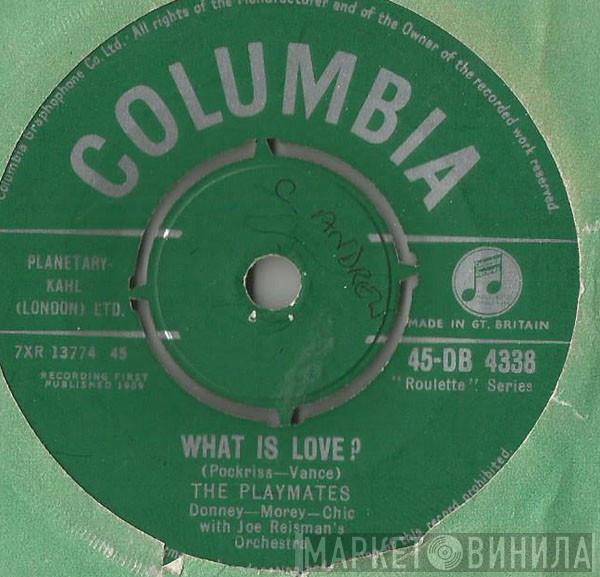 The Playmates - What Is Love?