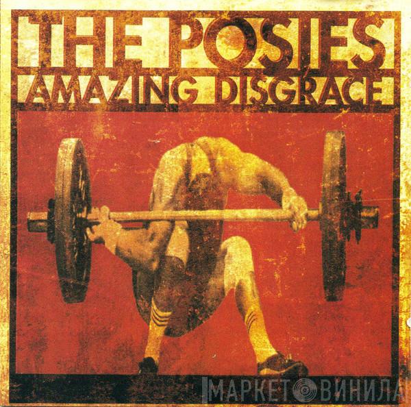  The Posies  - Amazing Disgrace