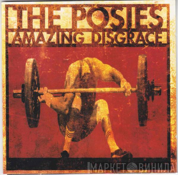  The Posies  - Amazing Disgrace
