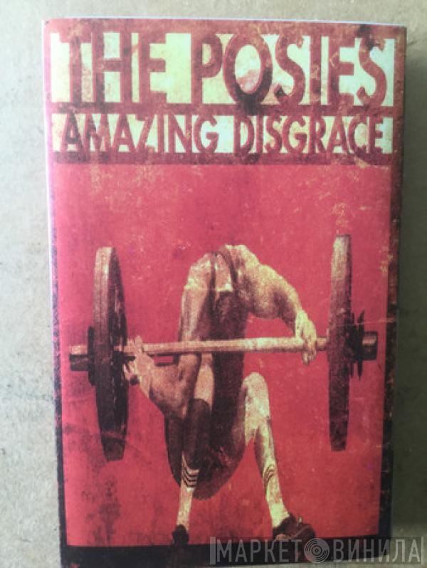 The Posies - Amazing Disgrace