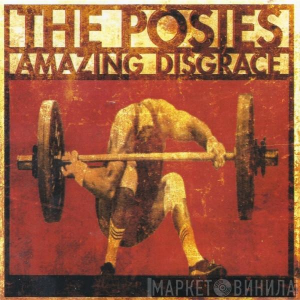  The Posies  - Amazing Disgrace