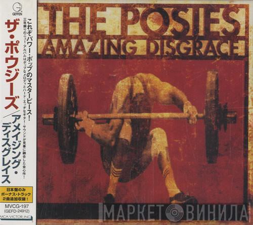  The Posies  - Amazing Disgrace