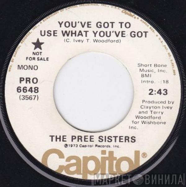  The Pree Sisters  - You've Got To Use What You've Got / Part Time Lover, Full Time Fool