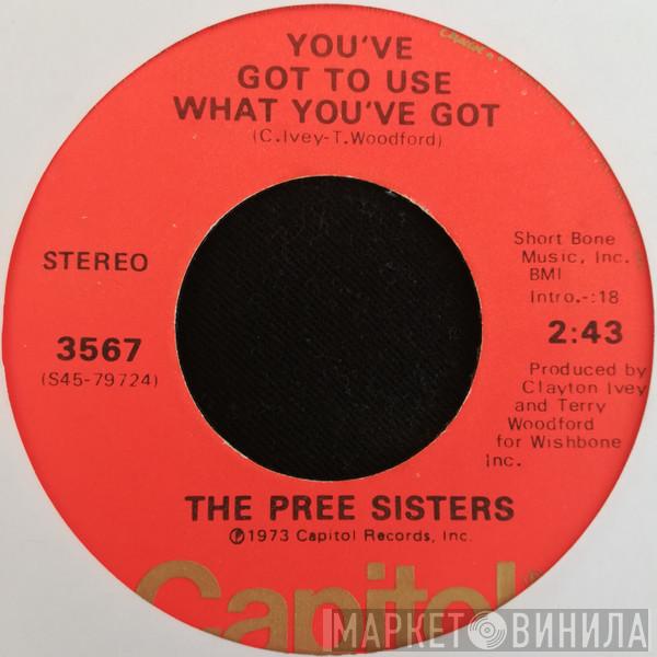 The Pree Sisters - You've Got To Use What You've Got / Part Time Lover, Full Time Fool