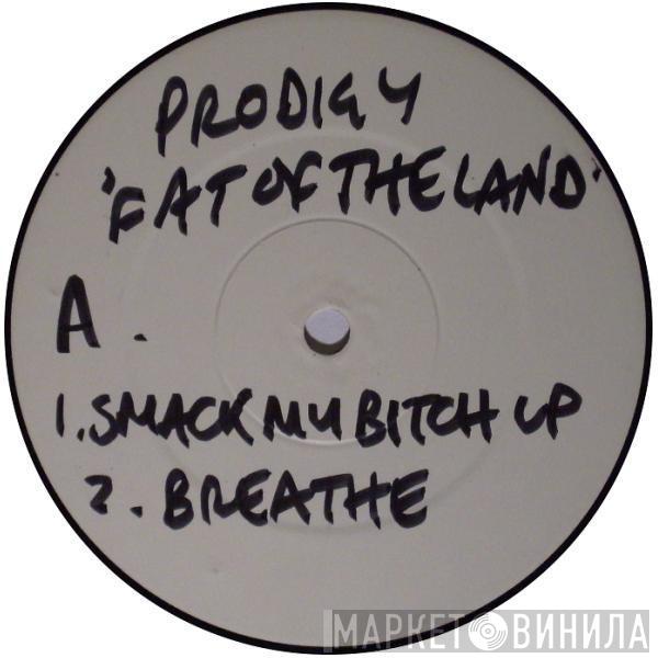  The Prodigy  - Fat Of The Land