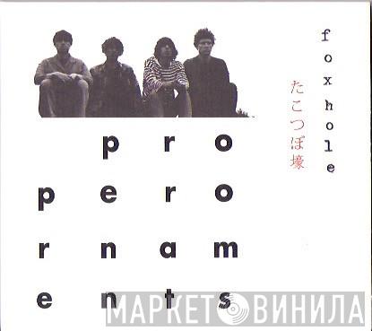 The Proper Ornaments - Foxhole