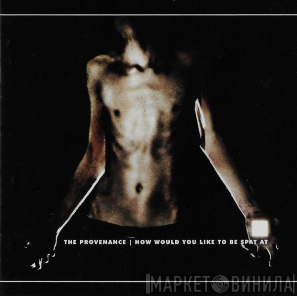 The Provenance - How Would You Like To Be Spat At