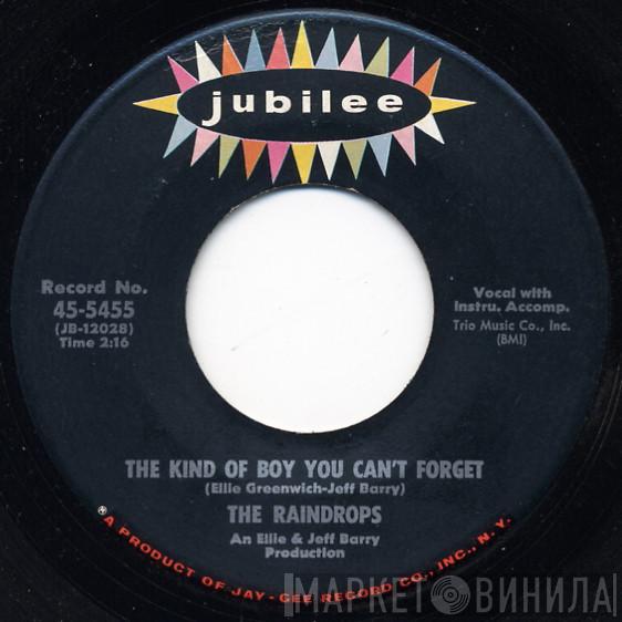  The Raindrops  - The Kind Of Boy You Can't Forget / Even Though You Can't Dance
