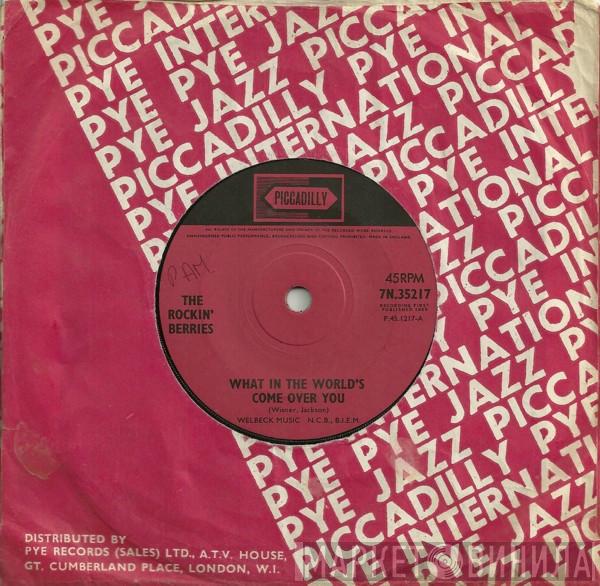 The Rockin' Berries - What In The World's Come Over You