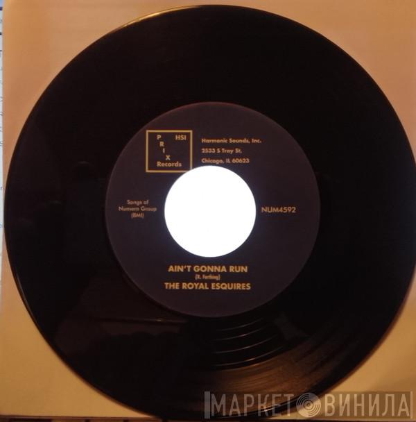 The Royal Esquires - Ain't Gonna Run  - Single Sided